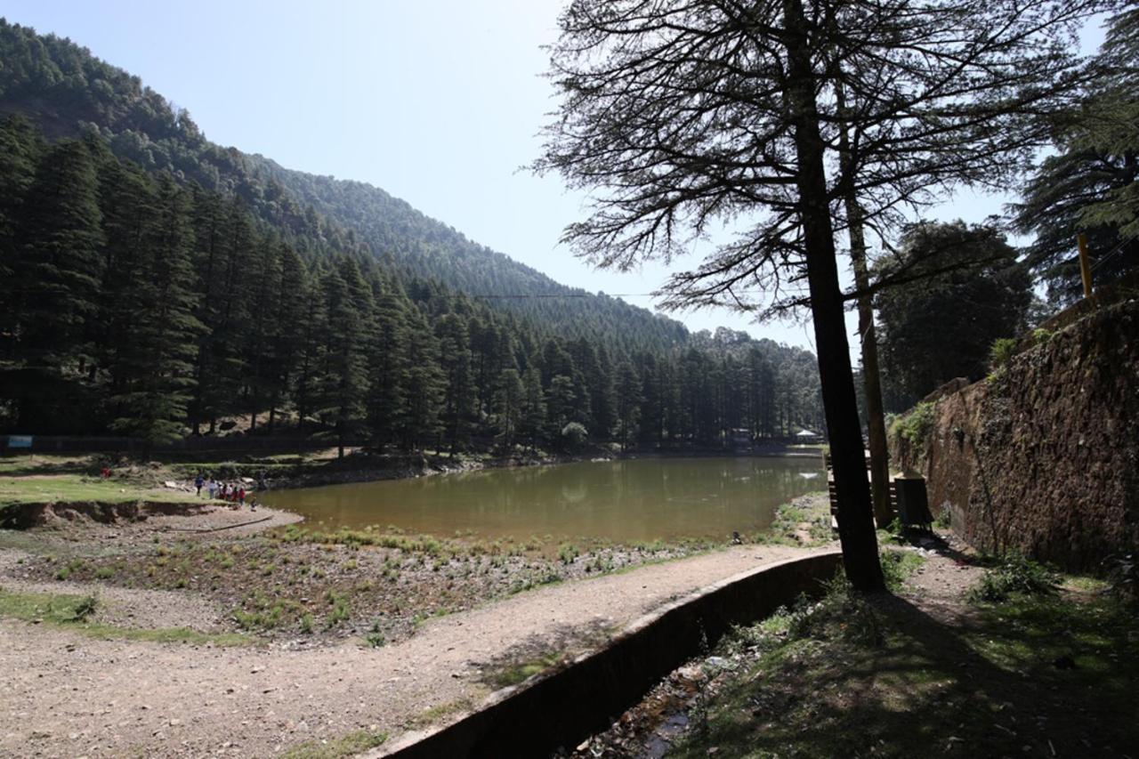 Отель Harmony Blue Mcleodganj Мак-Леод-Гейндж Экстерьер фото